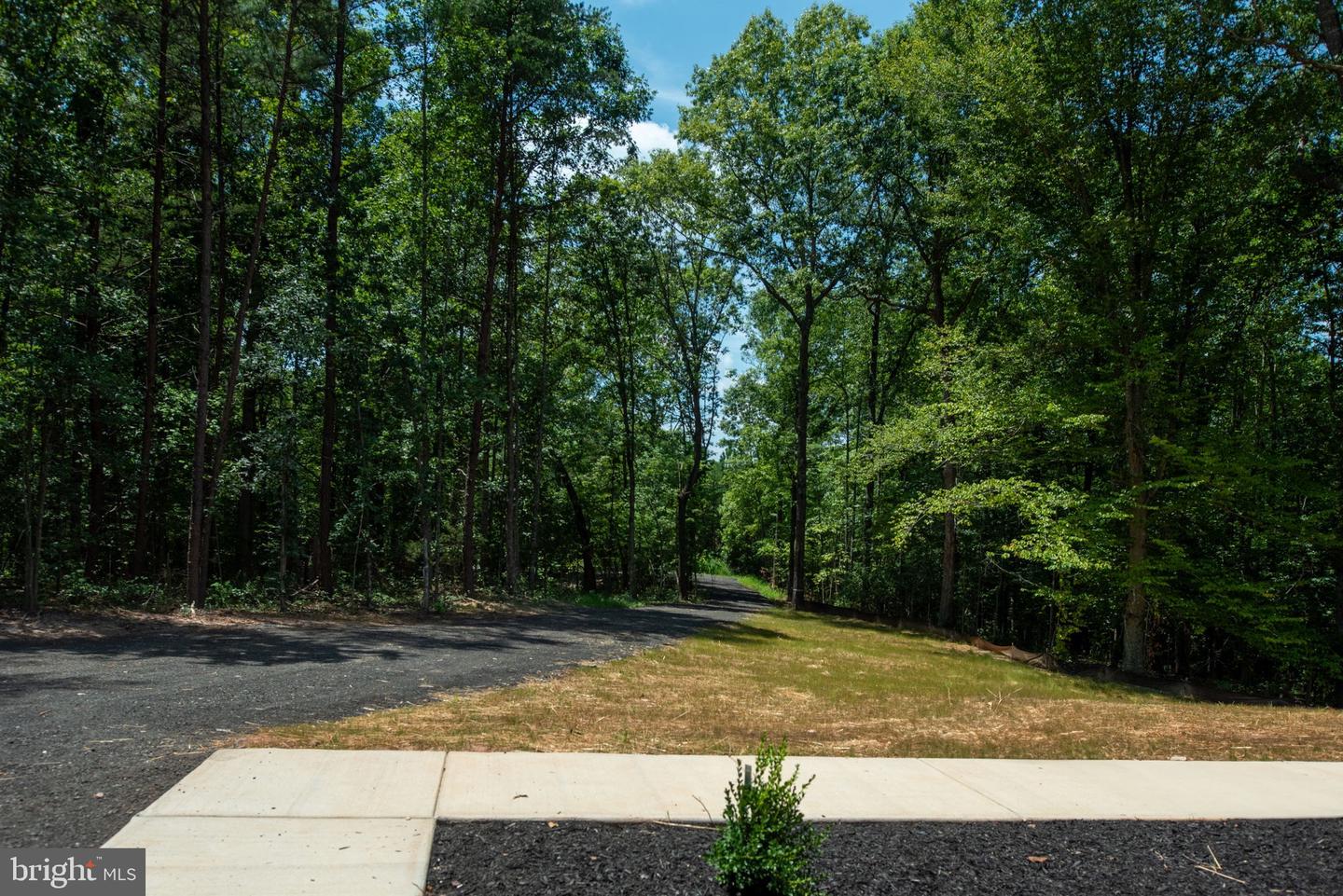16881 HUNTERS RIDGE LANE, UNIONVILLE, Virginia 22567, 4 Bedrooms Bedrooms, ,3 BathroomsBathrooms,Residential,For sale,16881 HUNTERS RIDGE LANE,VAOR2010366 MLS # VAOR2010366