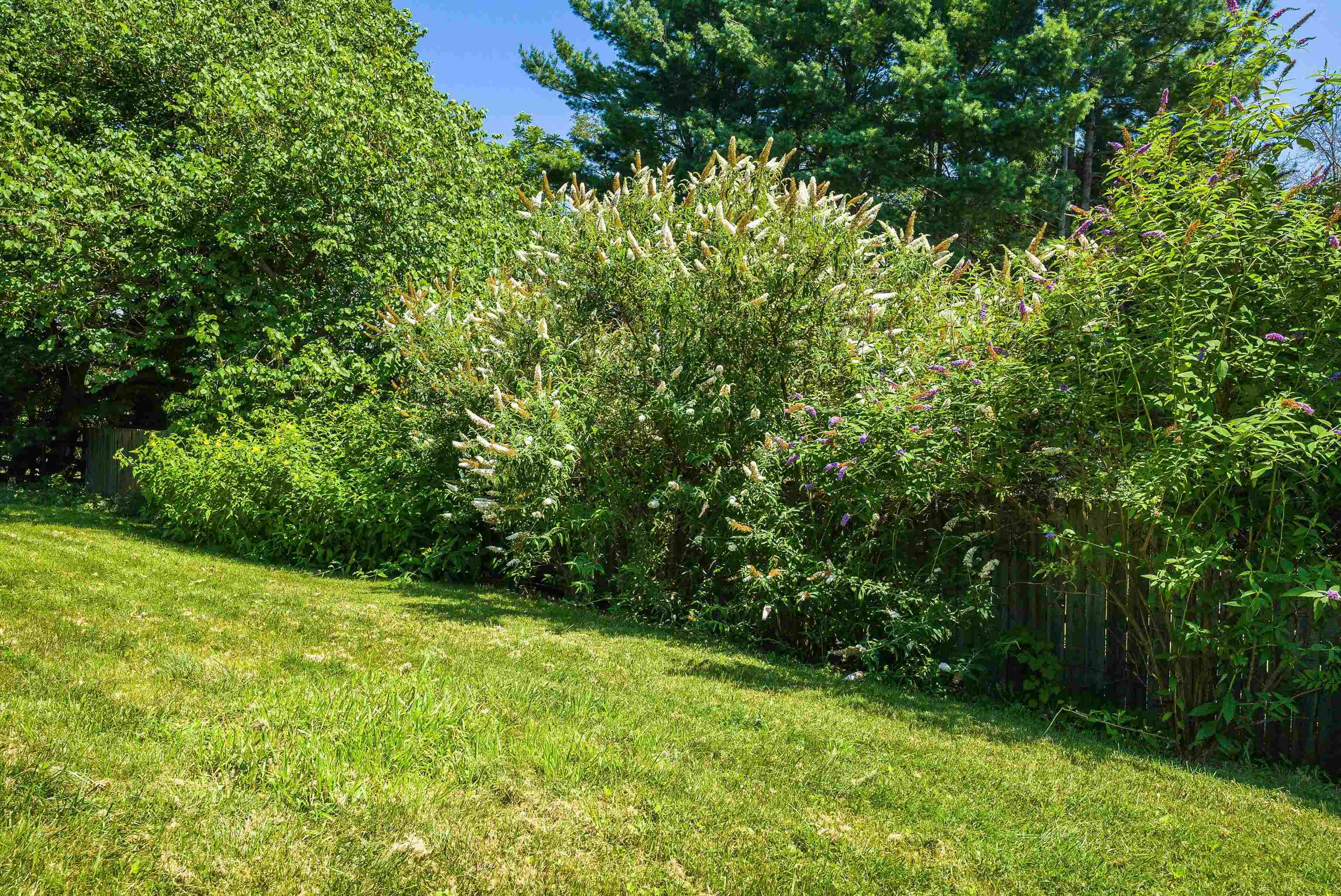 810 REID ST, STAUNTON, Virginia 24401, 3 Bedrooms Bedrooms, ,2 BathroomsBathrooms,Residential,810 REID ST,667416 MLS # 667416