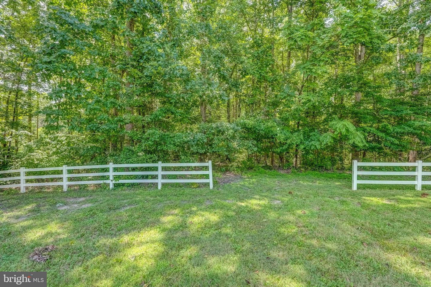 1183 DANIEL RD, LOUISA, Virginia 23093, 5 Bedrooms Bedrooms, 19 Rooms Rooms,3 BathroomsBathrooms,Residential,For sale,1183 DANIEL RD,VALA2008344 MLS # VALA2008344