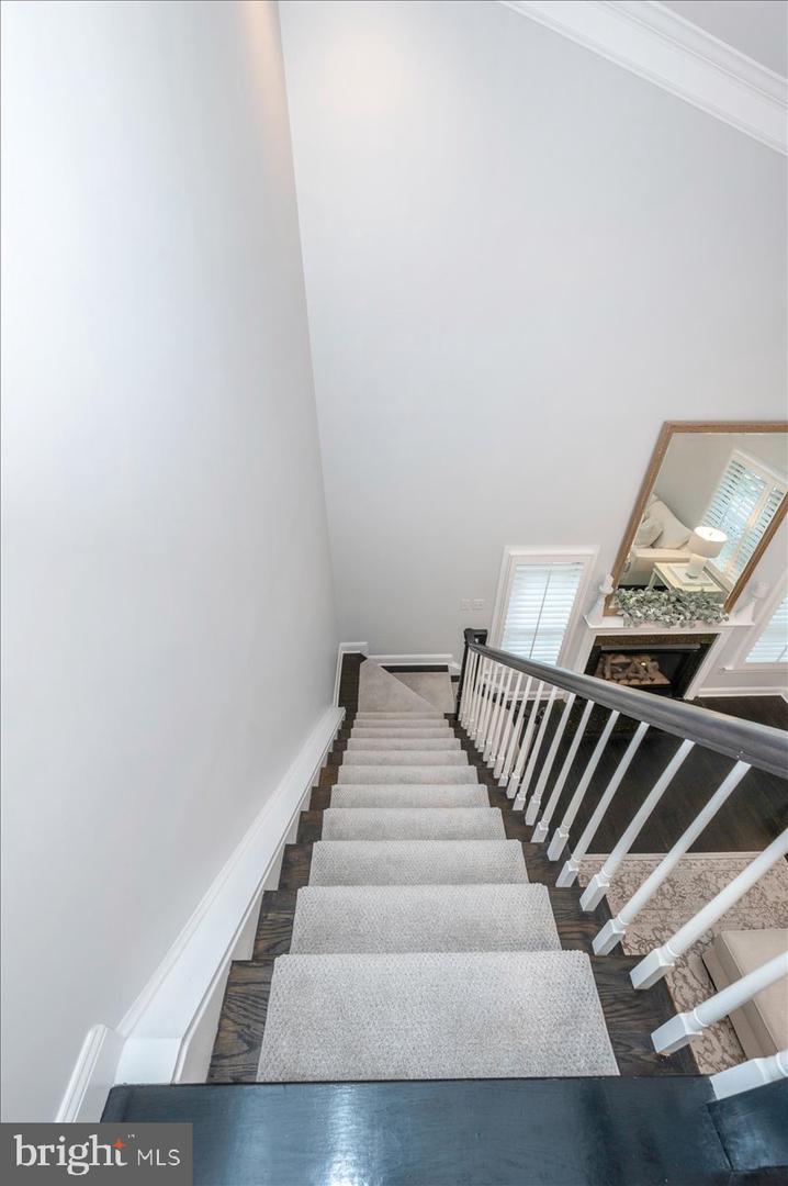 5025 GRAFTON ST, ALEXANDRIA, Virginia 22312, 5 Bedrooms Bedrooms, ,4 BathroomsBathrooms,Residential,For sale,5025 GRAFTON ST,VAFX2258424 MLS # VAFX2258424