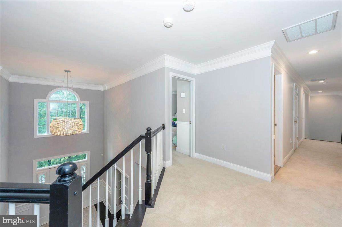 5025 GRAFTON ST, ALEXANDRIA, Virginia 22312, 5 Bedrooms Bedrooms, ,4 BathroomsBathrooms,Residential,For sale,5025 GRAFTON ST,VAFX2258424 MLS # VAFX2258424