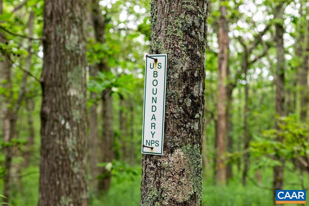 30 CEDAR DR, WINTERGREEN RESORT, Virginia 22967, 3 Bedrooms Bedrooms, ,2 BathroomsBathrooms,Residential,For sale,30 CEDAR DR,667350 MLS # 667350