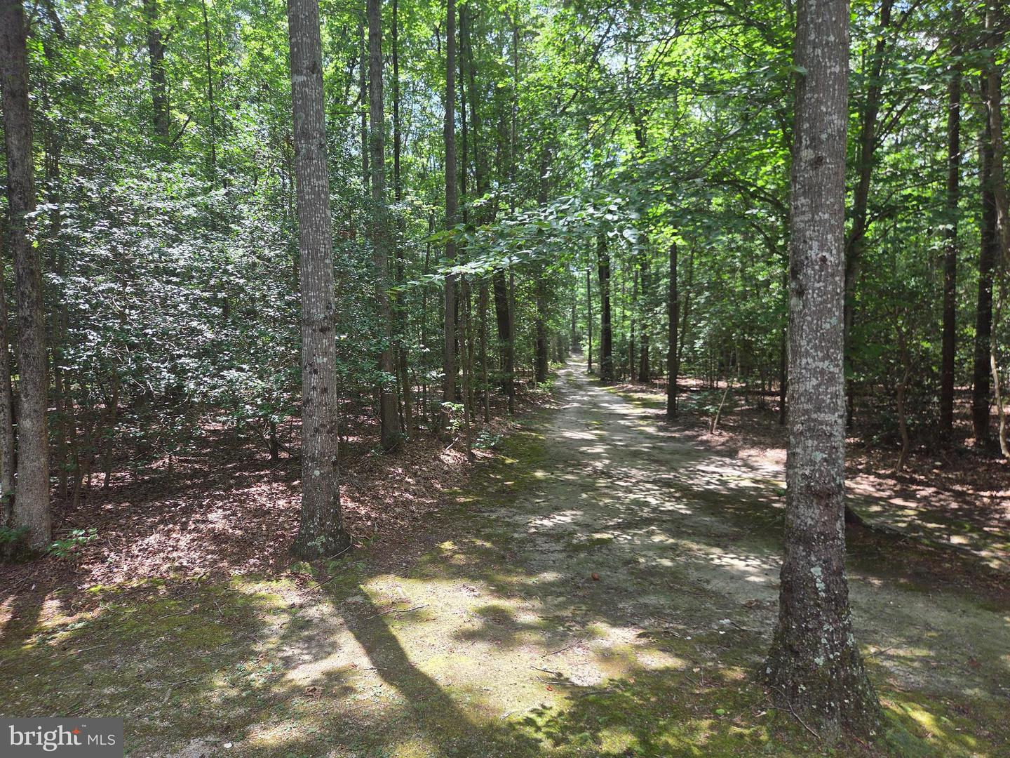 466 LAUREL SPRINGS ROAD, HUSTLE, Virginia 22476, 2 Bedrooms Bedrooms, ,1 BathroomBathrooms,Residential,For sale,466 LAUREL SPRINGS ROAD,VAES2001994 MLS # VAES2001994