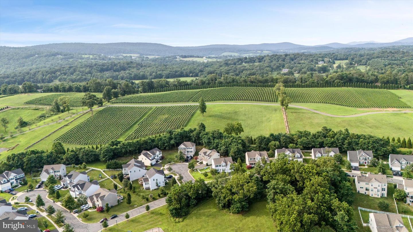 16972 BUCKINGTON CT, ROUND HILL, Virginia 20141, 4 Bedrooms Bedrooms, ,3 BathroomsBathrooms,Residential,For sale,16972 BUCKINGTON CT,VALO2103722 MLS # VALO2103722