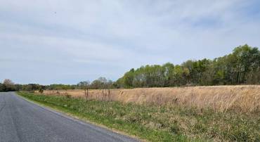 15 WILSON RUSSELL DR, CUMBERLAND, Virginia 23040, ,Land,For sale,15 WILSON RUSSELL DR,VACB2000070 MLS # VACB2000070