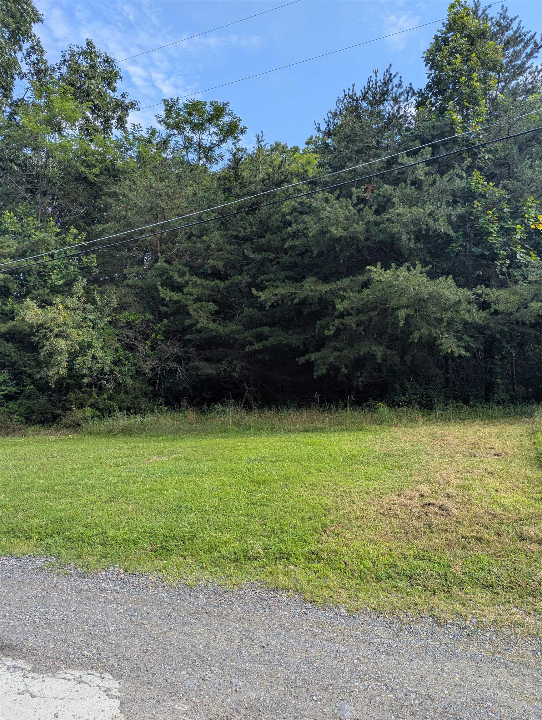 Lot 62 LAKE DR, CRIMORA, Virginia 24431, ,Land,Lot 62 LAKE DR,667427 MLS # 667427