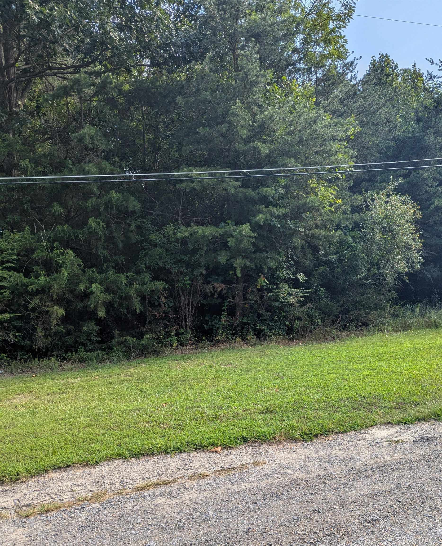Lot 62 LAKE DR, CRIMORA, Virginia 24431, ,Land,Lot 62 LAKE DR,667427 MLS # 667427