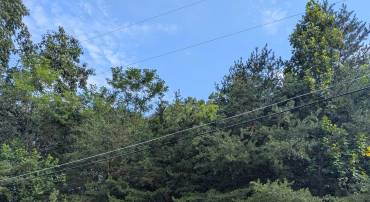 Lot 62 LAKE DR, CRIMORA, Virginia 24431, ,Land,Lot 62 LAKE DR,667427 MLS # 667427