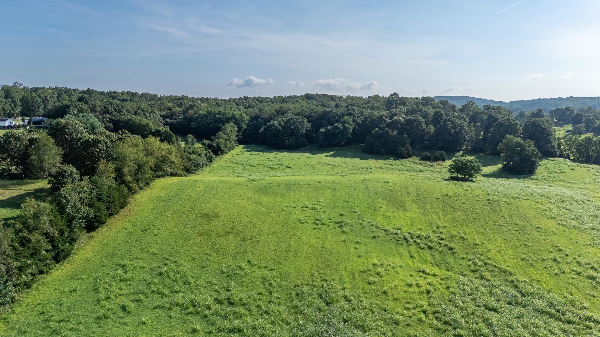 21-Acres TBD MT PISGAH RD, MOUNT SIDNEY, Virginia 24467, ,Land,21-Acres TBD MT PISGAH RD,667449 MLS # 667449