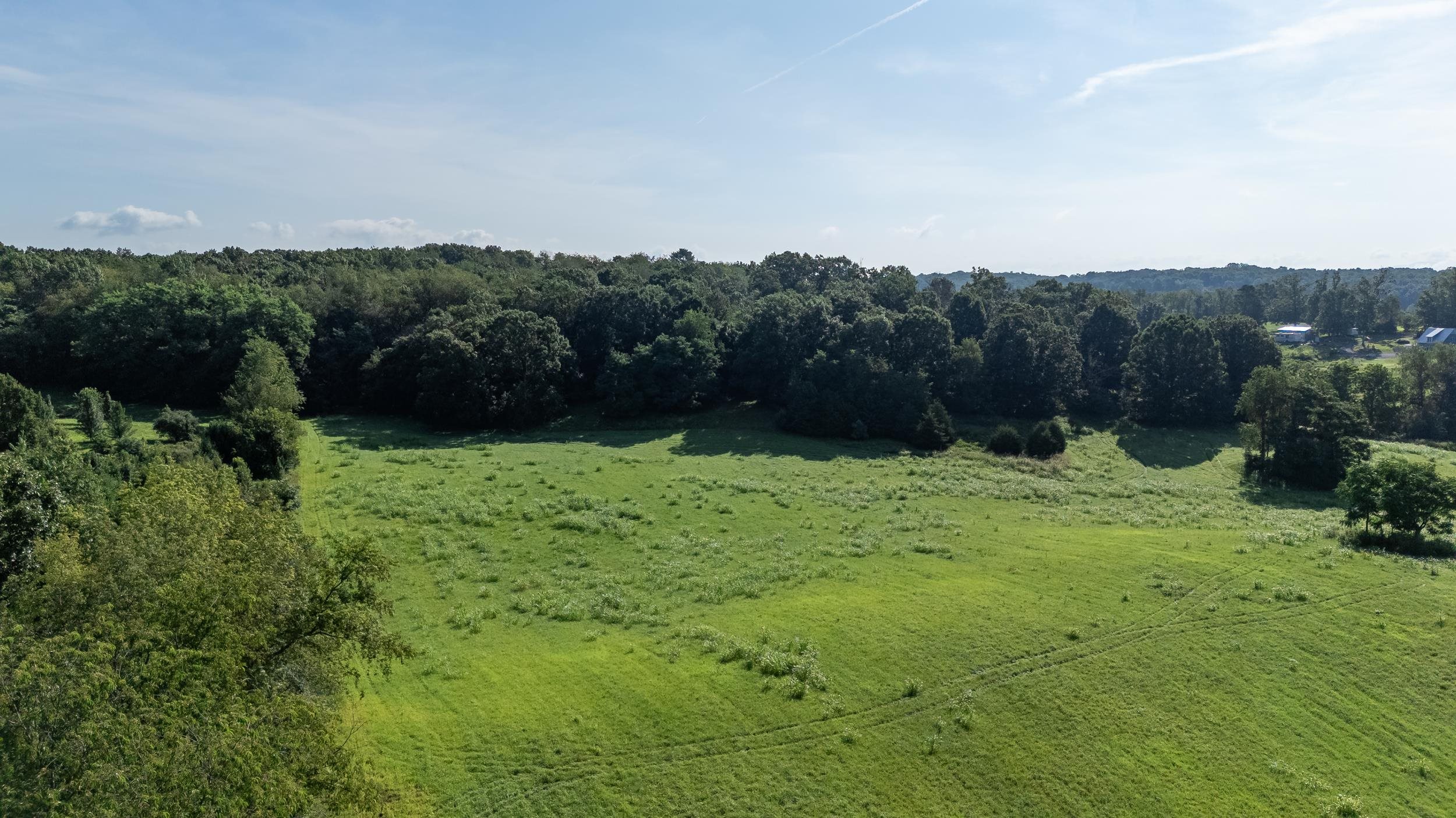 21-Acres TBD MT PISGAH RD, MOUNT SIDNEY, Virginia 24467, ,Land,21-Acres TBD MT PISGAH RD,667449 MLS # 667449