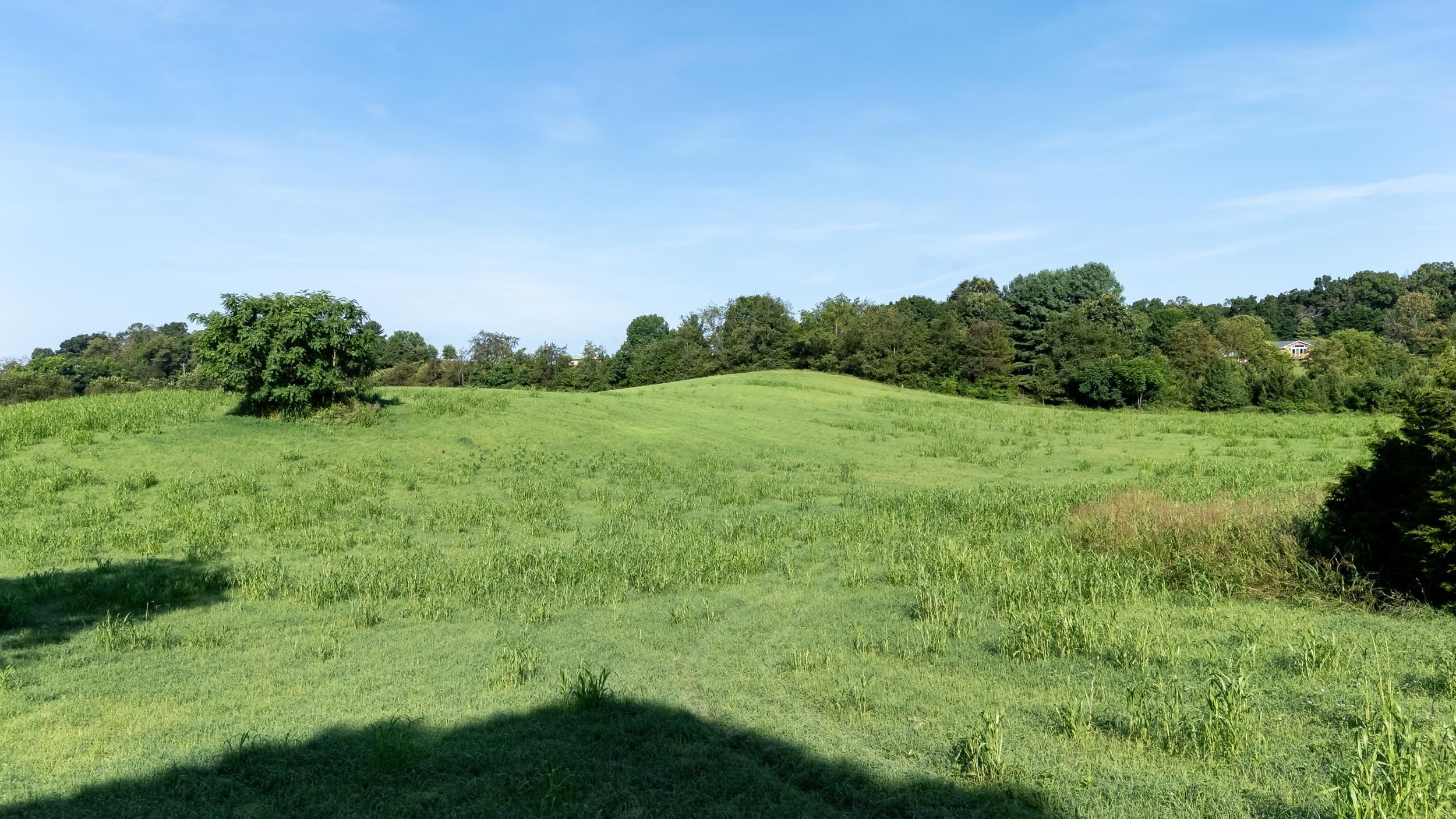21-Acres TBD MT PISGAH RD, MOUNT SIDNEY, Virginia 24467, ,Land,21-Acres TBD MT PISGAH RD,667449 MLS # 667449