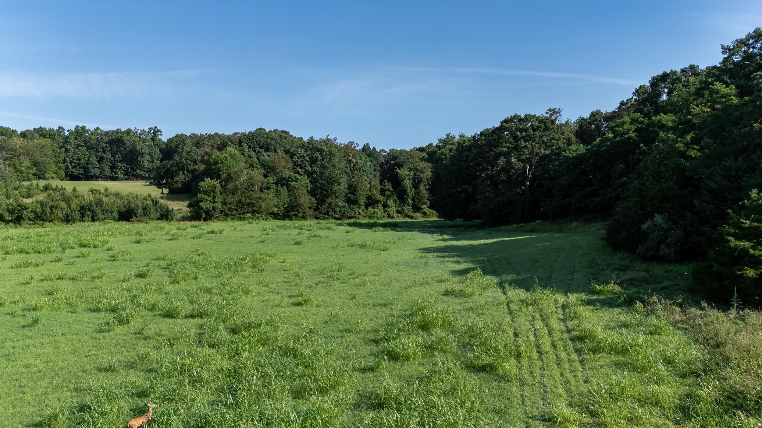 21-Acres TBD MT PISGAH RD, MOUNT SIDNEY, Virginia 24467, ,Land,21-Acres TBD MT PISGAH RD,667449 MLS # 667449