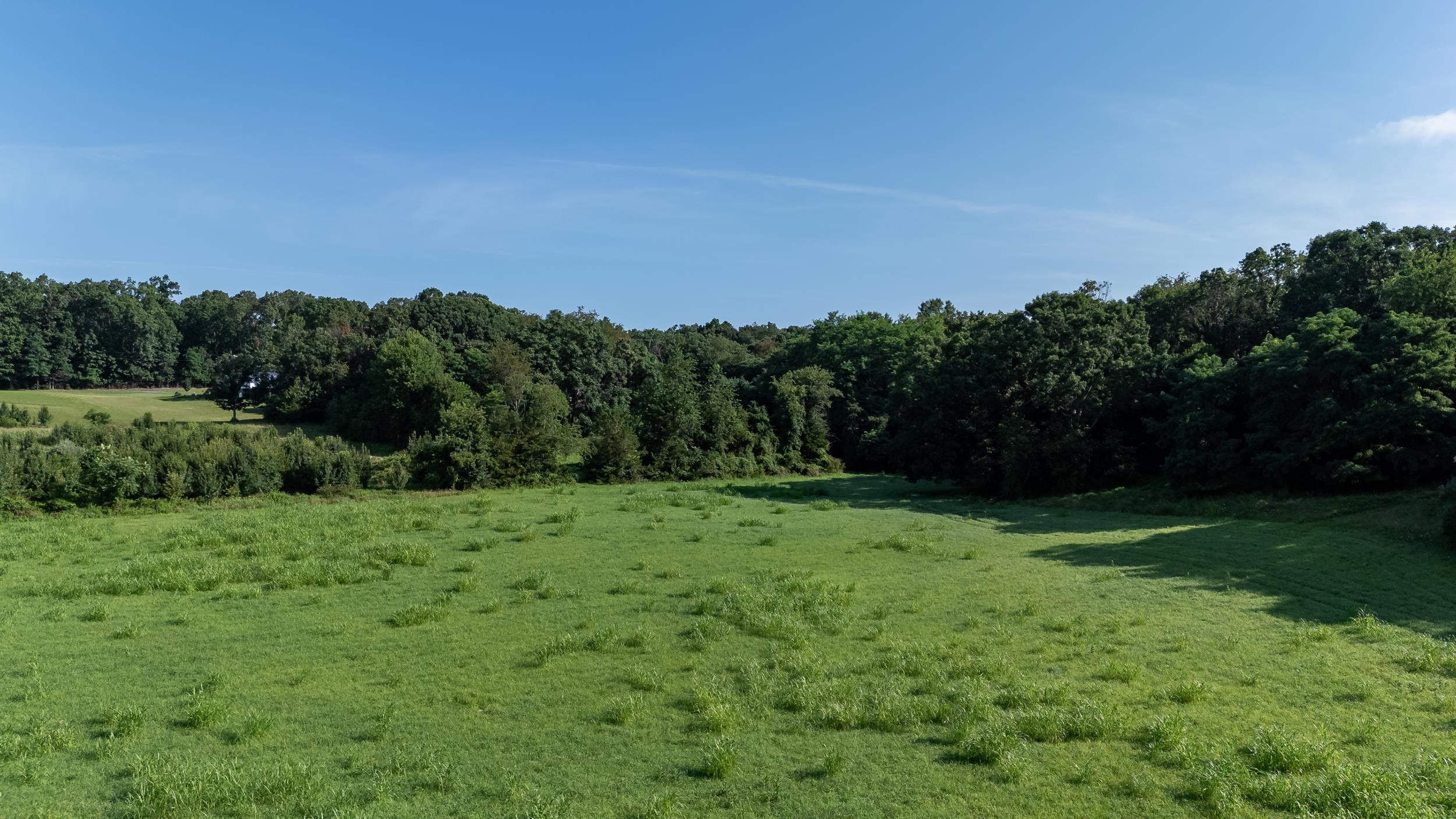21-Acres TBD MT PISGAH RD, MOUNT SIDNEY, Virginia 24467, ,Land,21-Acres TBD MT PISGAH RD,667449 MLS # 667449