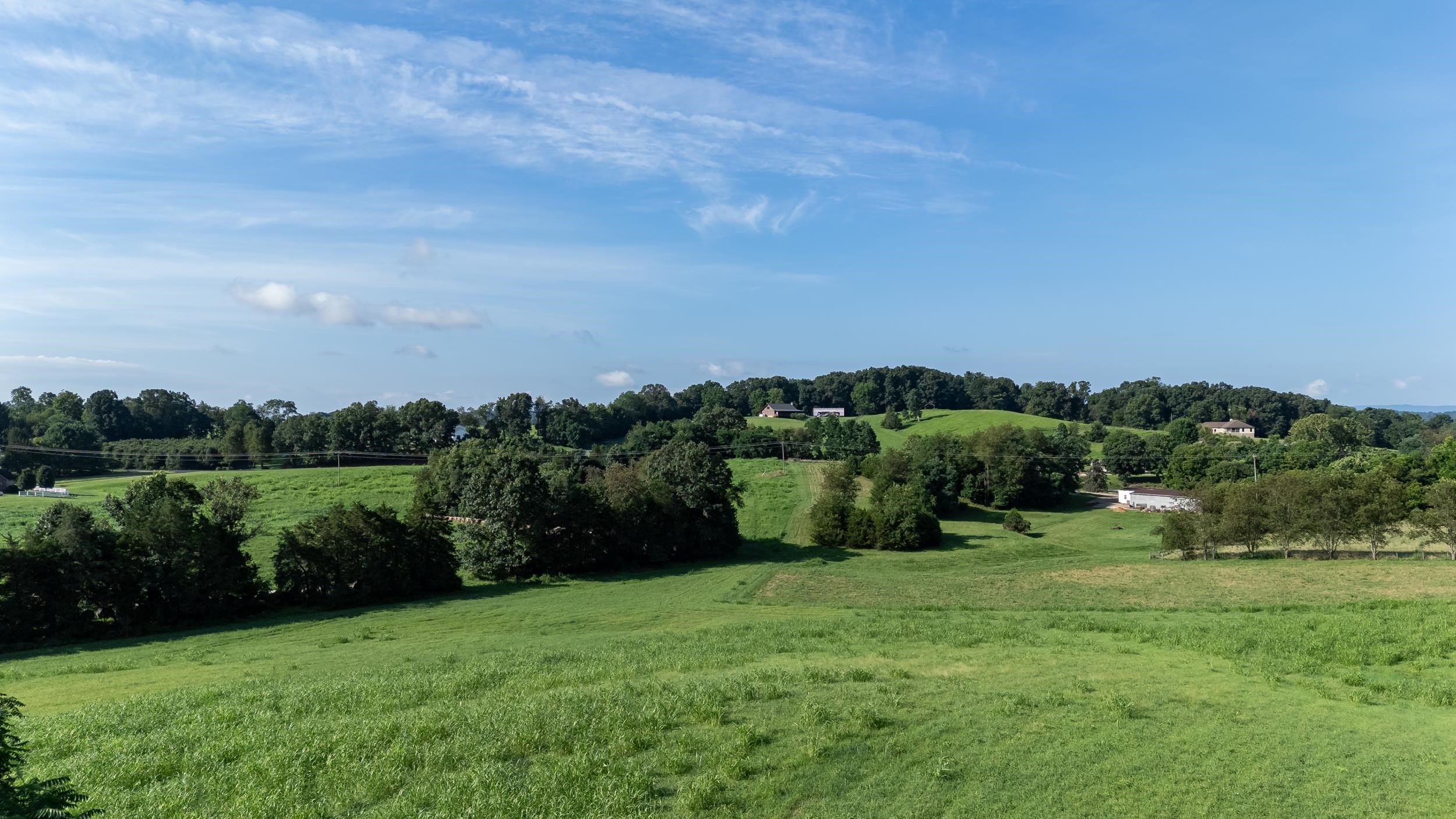 21-Acres TBD MT PISGAH RD, MOUNT SIDNEY, Virginia 24467, ,Land,21-Acres TBD MT PISGAH RD,667449 MLS # 667449