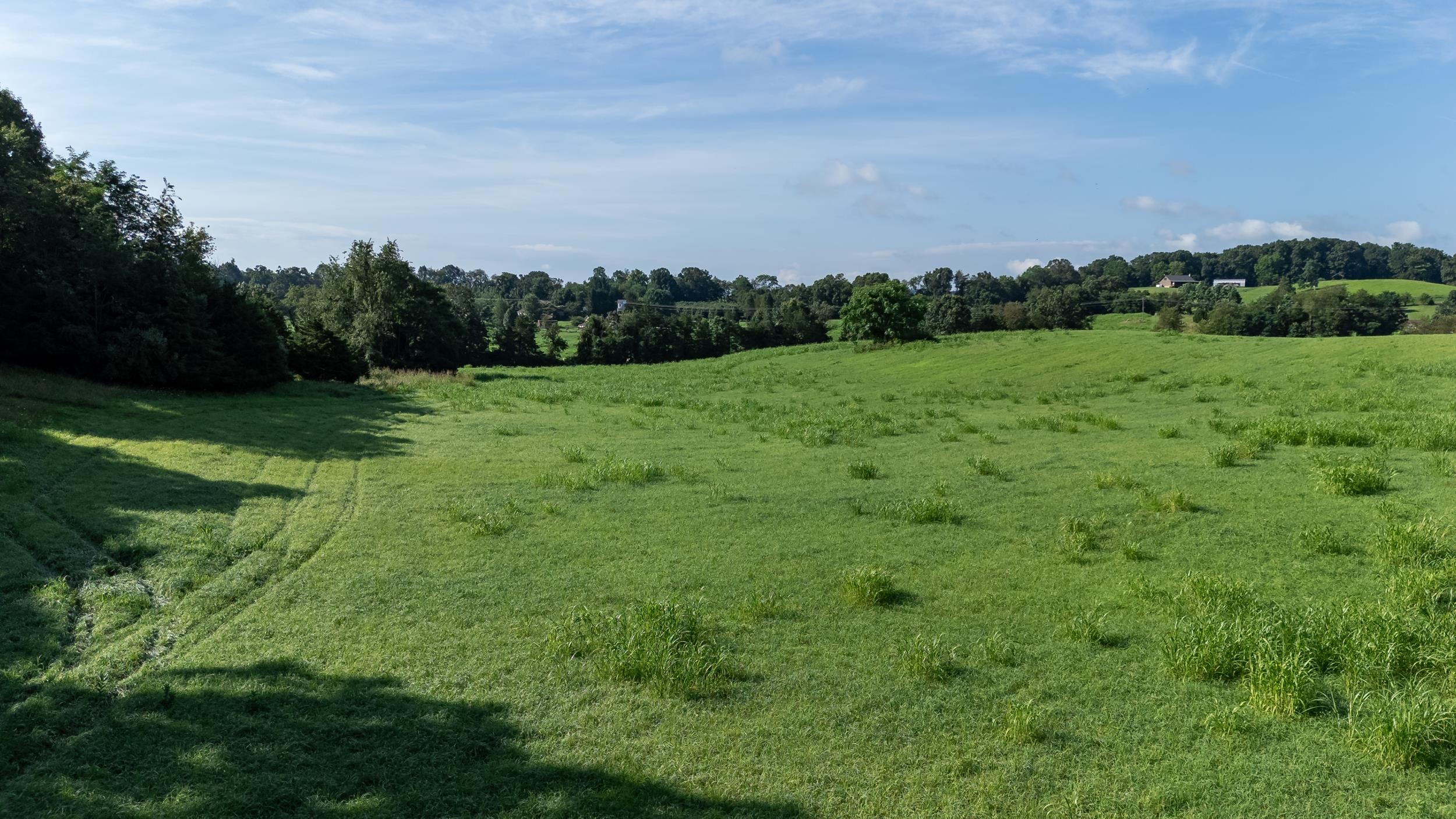 21-Acres TBD MT PISGAH RD, MOUNT SIDNEY, Virginia 24467, ,Land,21-Acres TBD MT PISGAH RD,667449 MLS # 667449