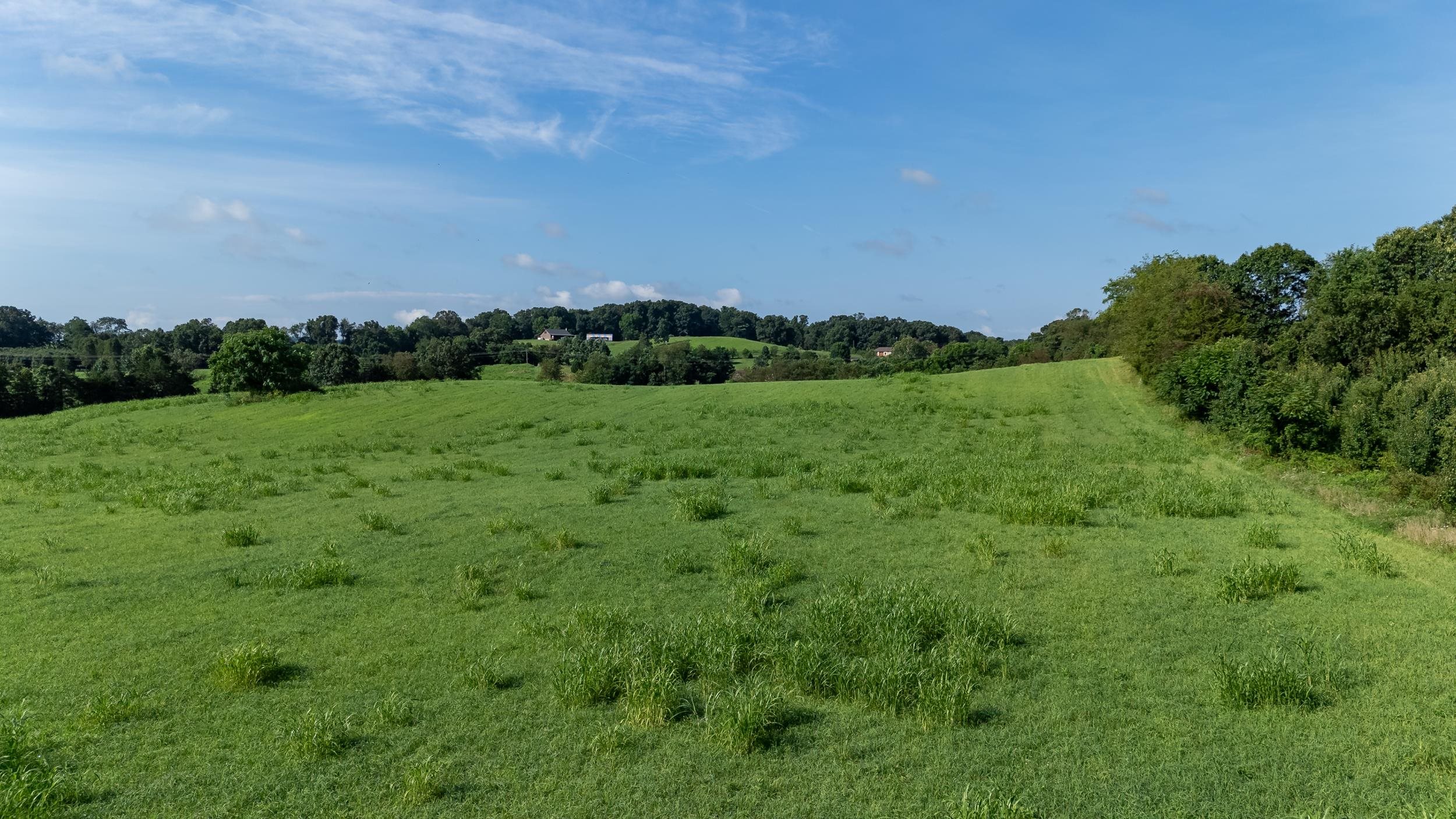 21-Acres TBD MT PISGAH RD, MOUNT SIDNEY, Virginia 24467, ,Land,21-Acres TBD MT PISGAH RD,667449 MLS # 667449