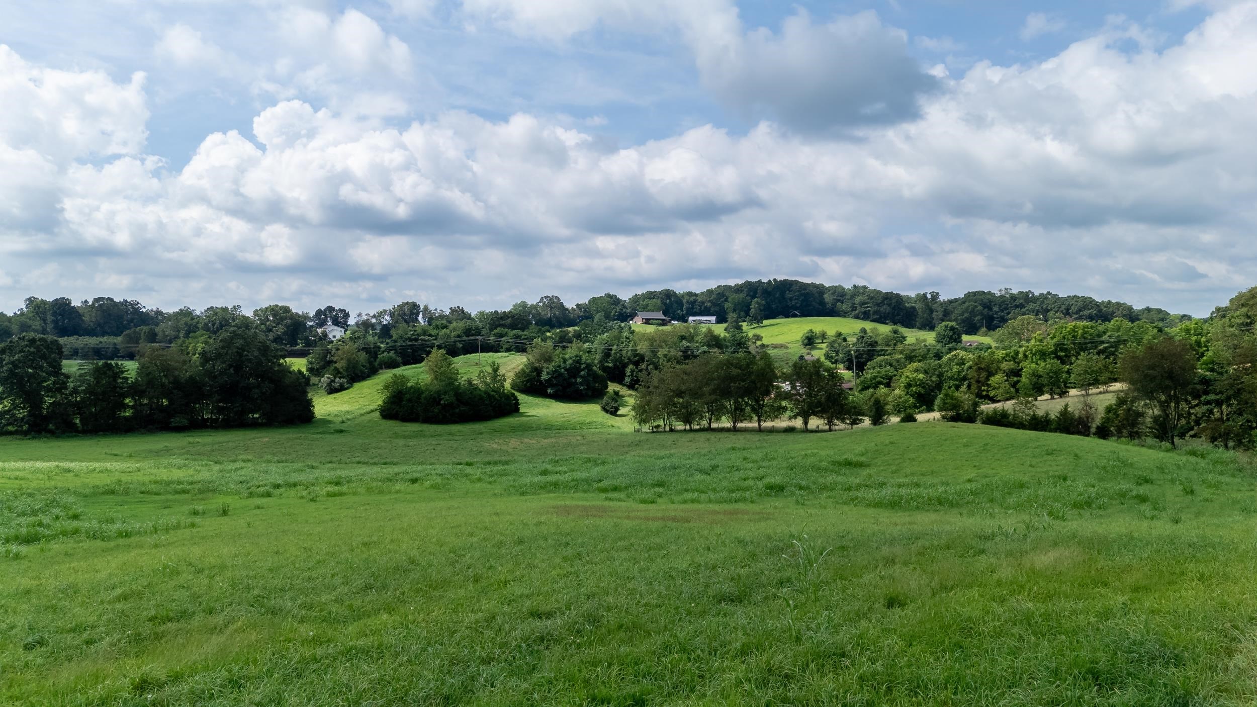 21-Acres TBD MT PISGAH RD, MOUNT SIDNEY, Virginia 24467, ,Land,21-Acres TBD MT PISGAH RD,667449 MLS # 667449