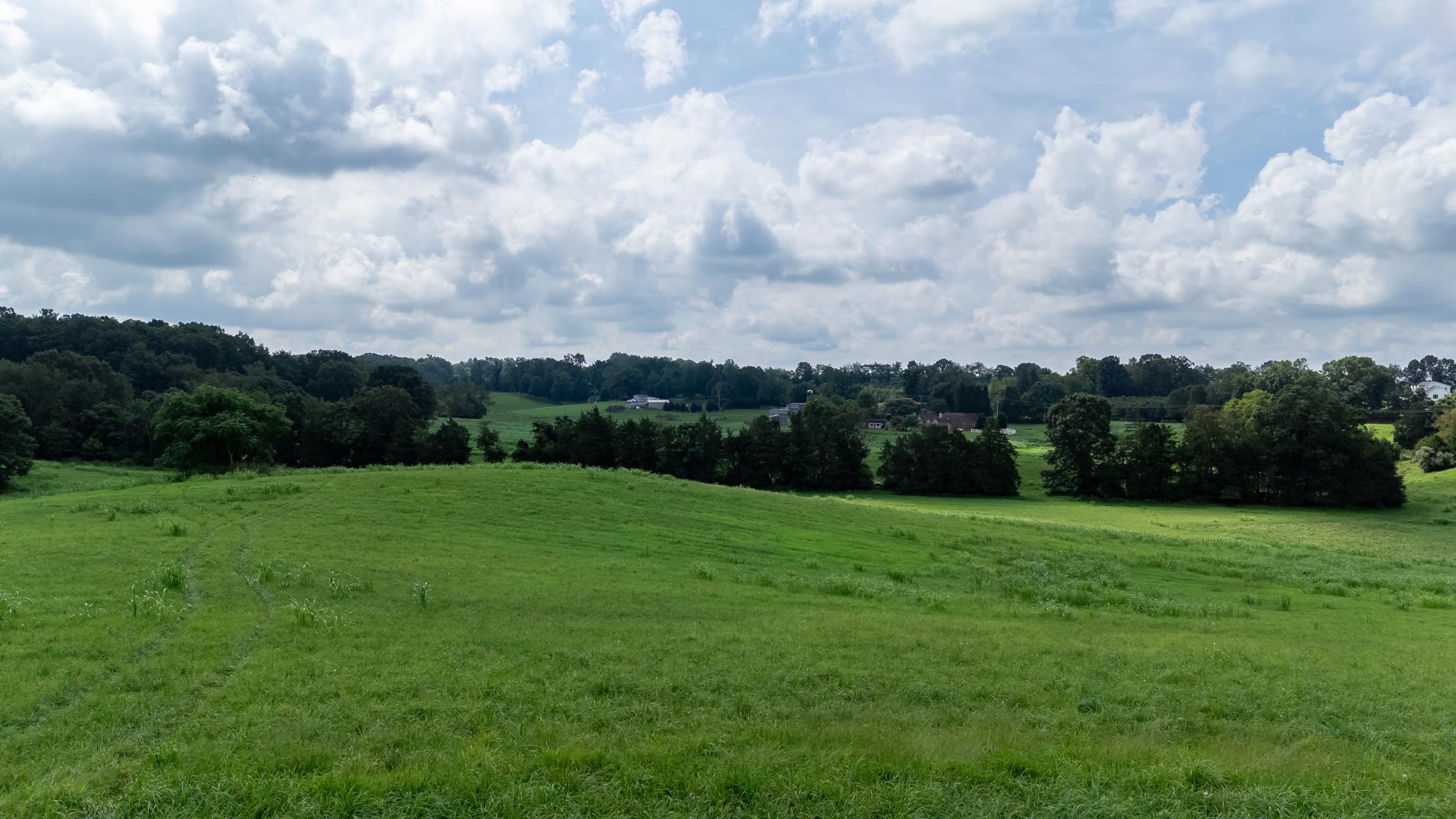 21-Acres TBD MT PISGAH RD, MOUNT SIDNEY, Virginia 24467, ,Land,21-Acres TBD MT PISGAH RD,667449 MLS # 667449