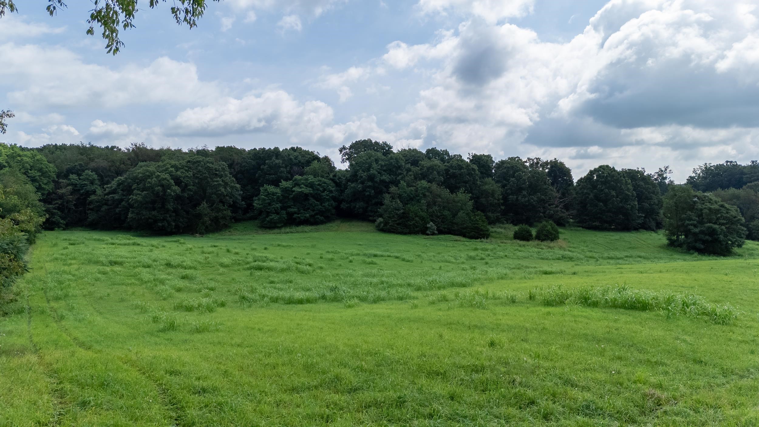 21-Acres TBD MT PISGAH RD, MOUNT SIDNEY, Virginia 24467, ,Land,21-Acres TBD MT PISGAH RD,667449 MLS # 667449