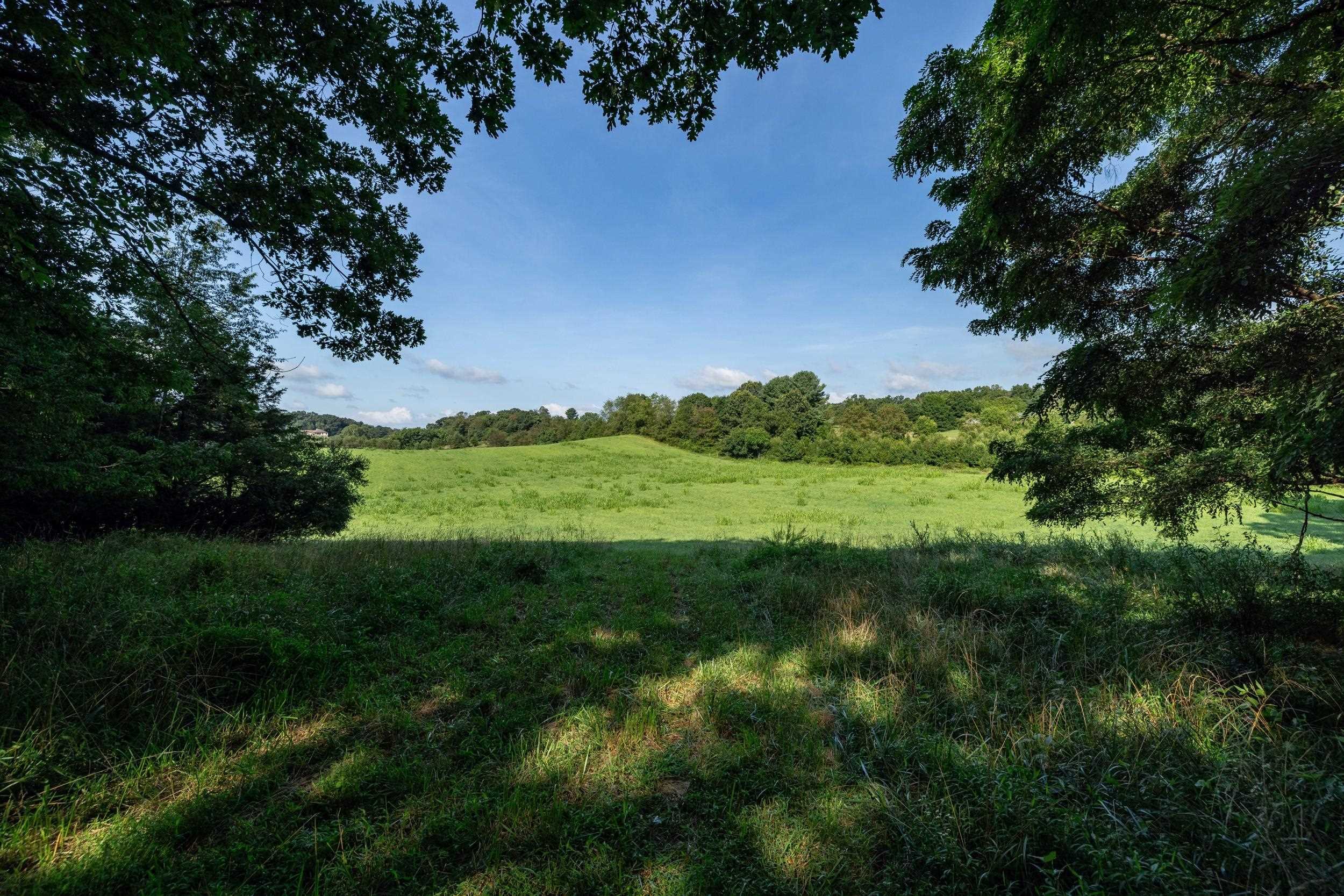 21-Acres TBD MT PISGAH RD, MOUNT SIDNEY, Virginia 24467, ,Land,21-Acres TBD MT PISGAH RD,667449 MLS # 667449