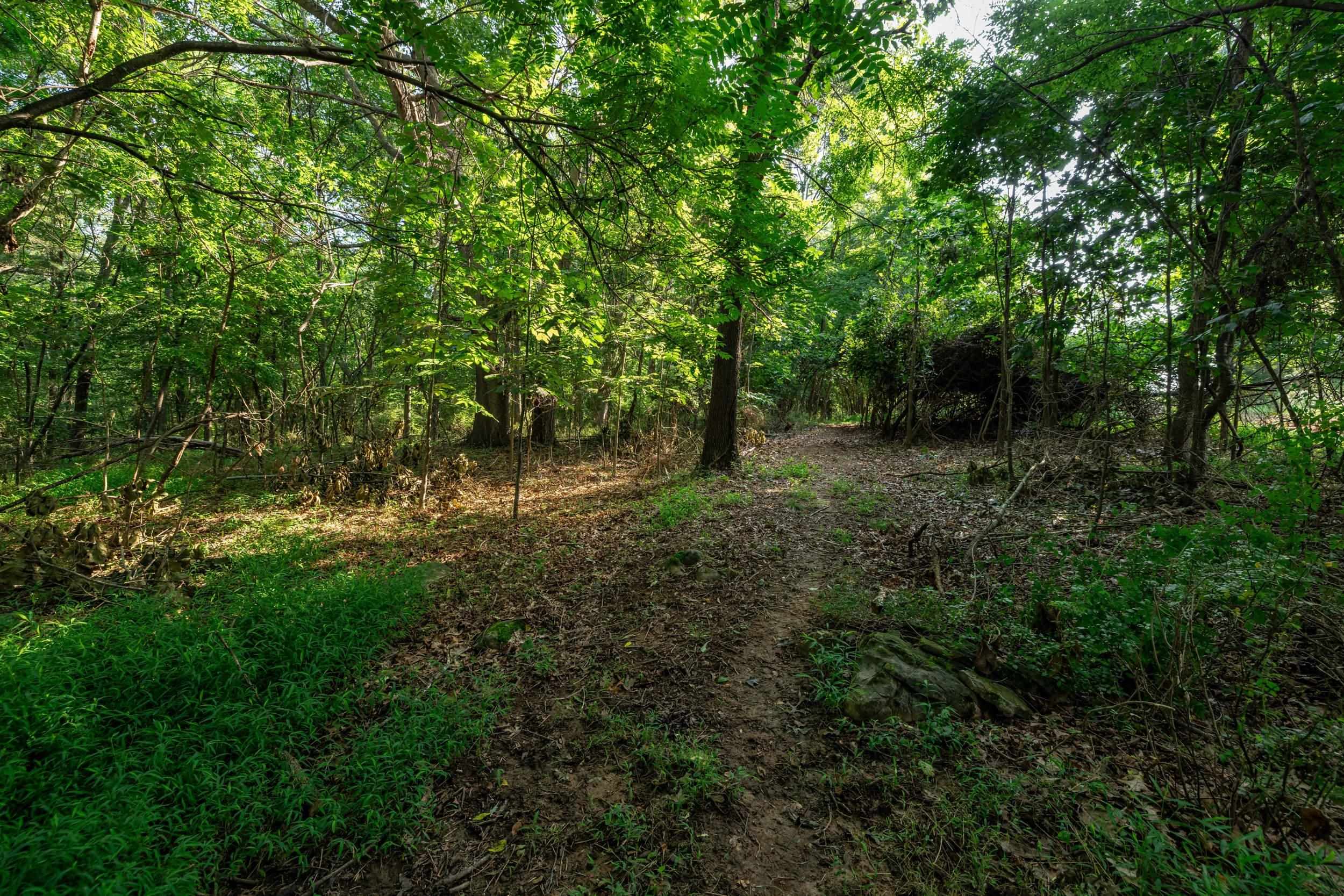 21-Acres TBD MT PISGAH RD, MOUNT SIDNEY, Virginia 24467, ,Land,21-Acres TBD MT PISGAH RD,667449 MLS # 667449