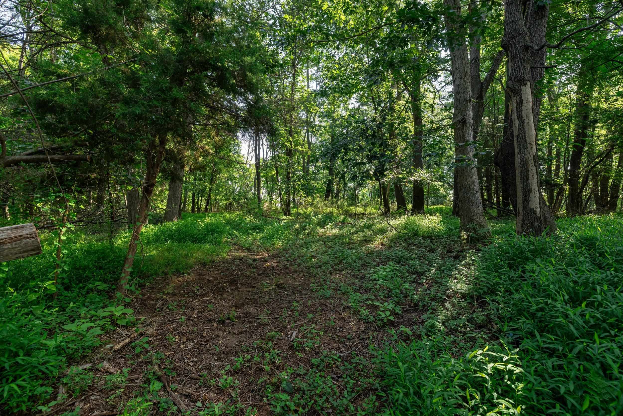 21-Acres TBD MT PISGAH RD, MOUNT SIDNEY, Virginia 24467, ,Land,21-Acres TBD MT PISGAH RD,667449 MLS # 667449