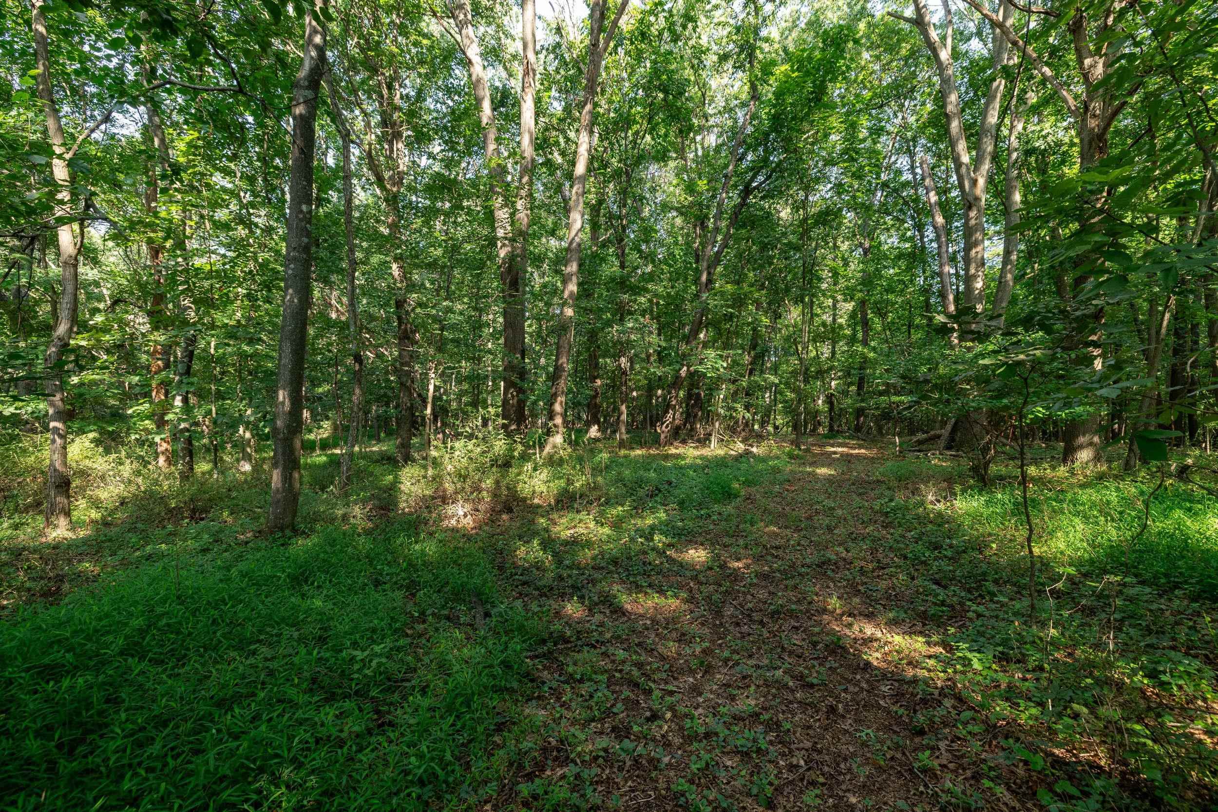 21-Acres TBD MT PISGAH RD, MOUNT SIDNEY, Virginia 24467, ,Land,21-Acres TBD MT PISGAH RD,667449 MLS # 667449