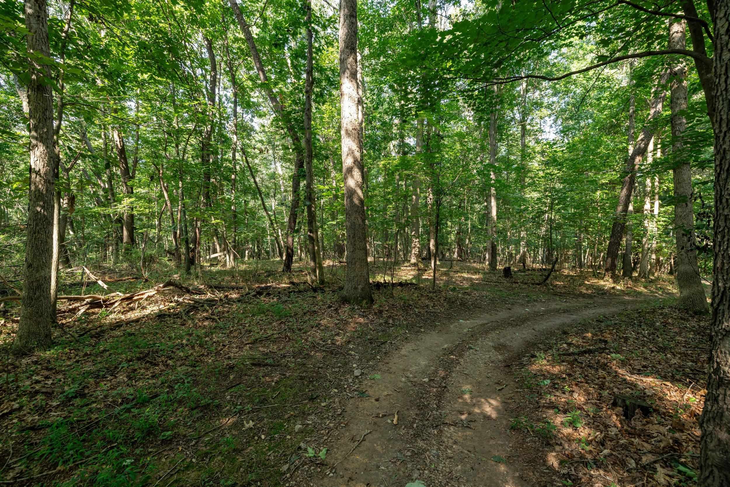 21-Acres TBD MT PISGAH RD, MOUNT SIDNEY, Virginia 24467, ,Land,21-Acres TBD MT PISGAH RD,667449 MLS # 667449