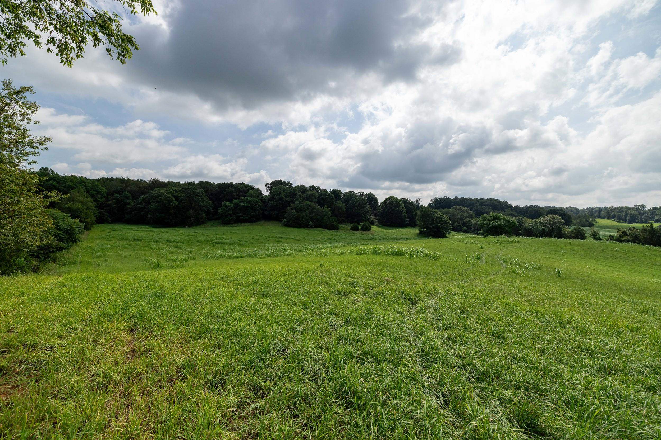 21-Acres TBD MT PISGAH RD, MOUNT SIDNEY, Virginia 24467, ,Land,21-Acres TBD MT PISGAH RD,667449 MLS # 667449