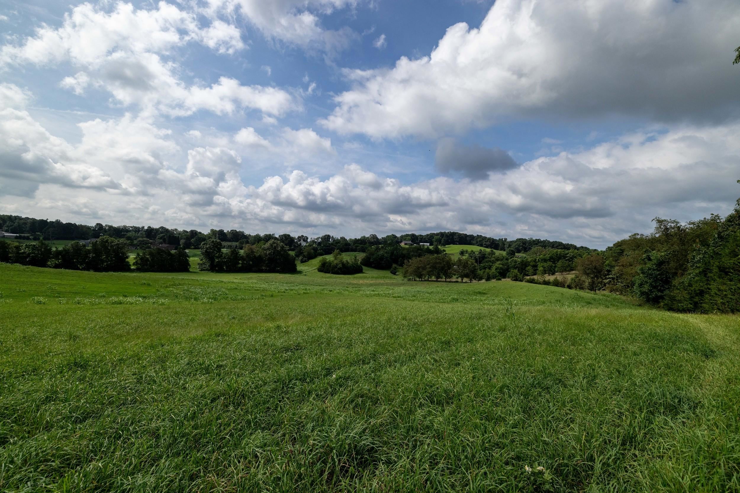 21-Acres TBD MT PISGAH RD, MOUNT SIDNEY, Virginia 24467, ,Land,21-Acres TBD MT PISGAH RD,667449 MLS # 667449