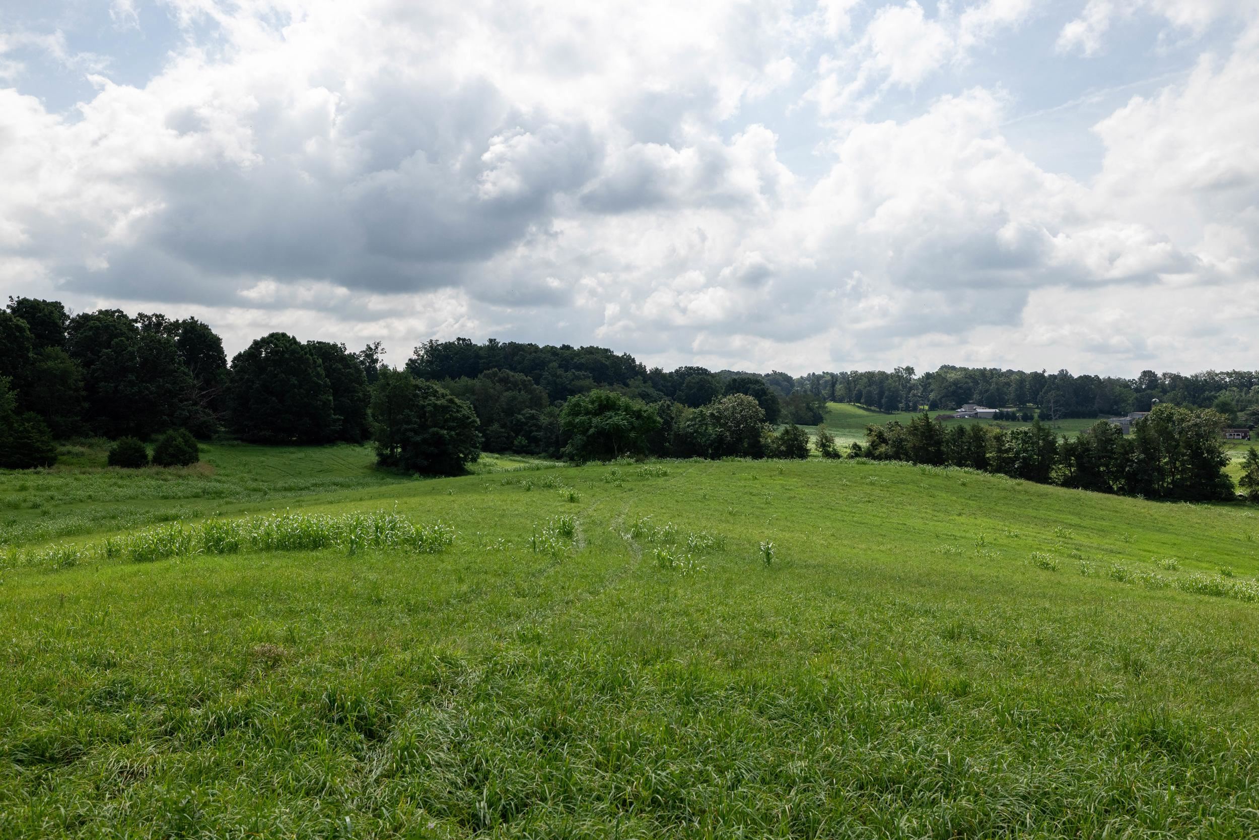 21-Acres TBD MT PISGAH RD, MOUNT SIDNEY, Virginia 24467, ,Land,21-Acres TBD MT PISGAH RD,667449 MLS # 667449
