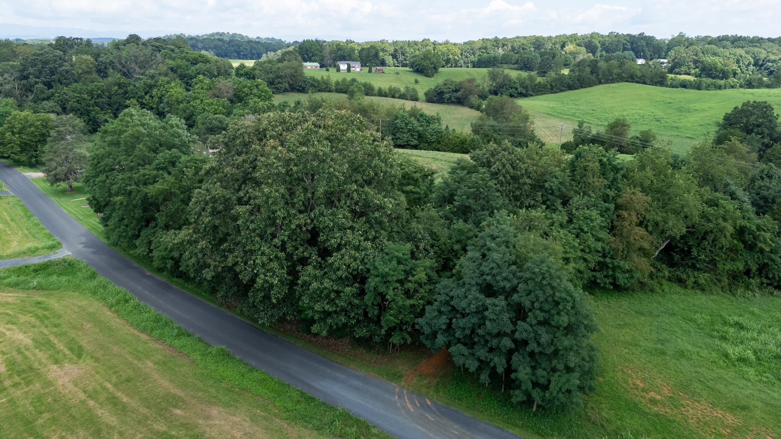 21-Acres TBD MT PISGAH RD, MOUNT SIDNEY, Virginia 24467, ,Land,21-Acres TBD MT PISGAH RD,667449 MLS # 667449