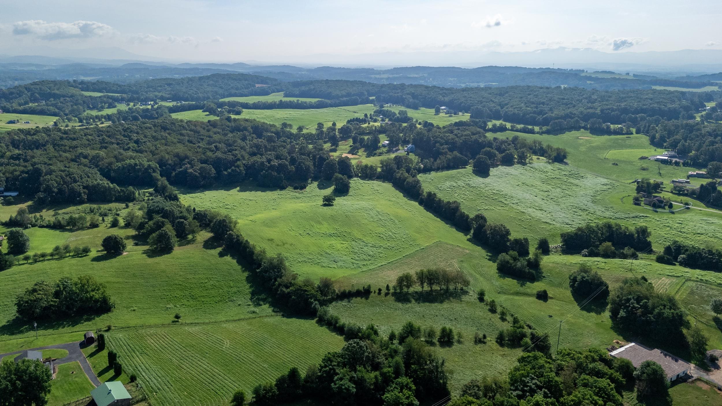 21-Acres TBD MT PISGAH RD, MOUNT SIDNEY, Virginia 24467, ,Land,21-Acres TBD MT PISGAH RD,667449 MLS # 667449