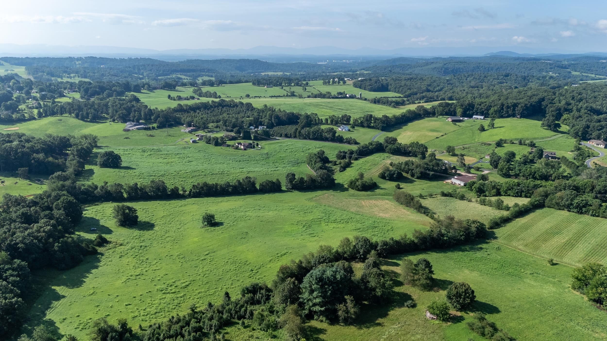 21-Acres TBD MT PISGAH RD, MOUNT SIDNEY, Virginia 24467, ,Land,21-Acres TBD MT PISGAH RD,667449 MLS # 667449