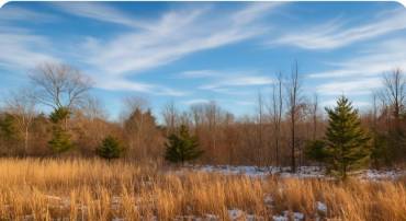 0 SHELTON STORE RD, WINGINA, Virginia 24599, ,Land,For sale,0 SHELTON STORE RD,660376 MLS # 660376
