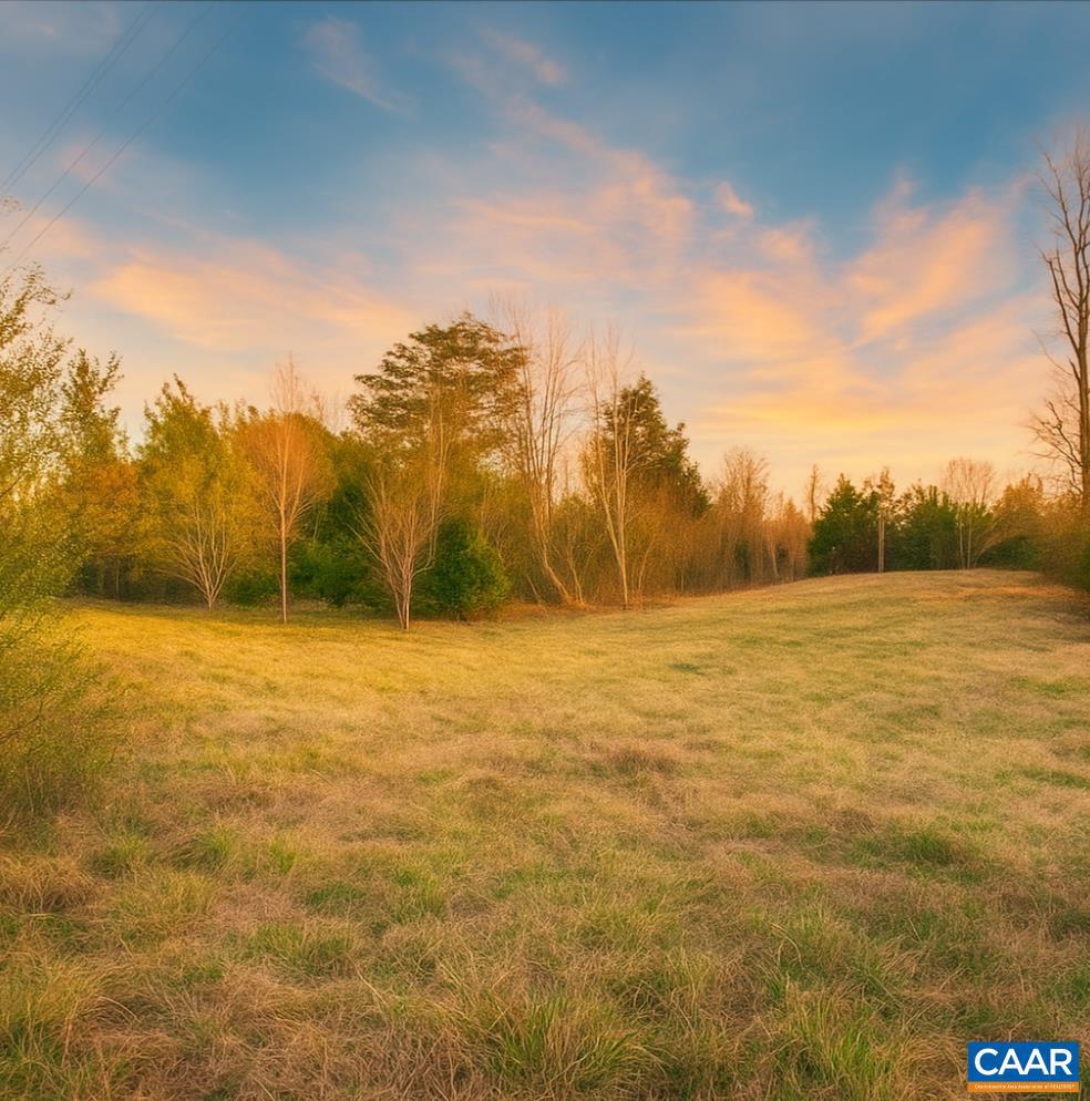 0 CRUMPTOWN RD, FARMVILLE, Virginia 23921, ,Land,For sale,0 CRUMPTOWN RD,660378 MLS # 660378