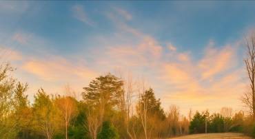 0 CRUMPTOWN RD, FARMVILLE, Virginia 23921, ,Land,For sale,0 CRUMPTOWN RD,660378 MLS # 660378