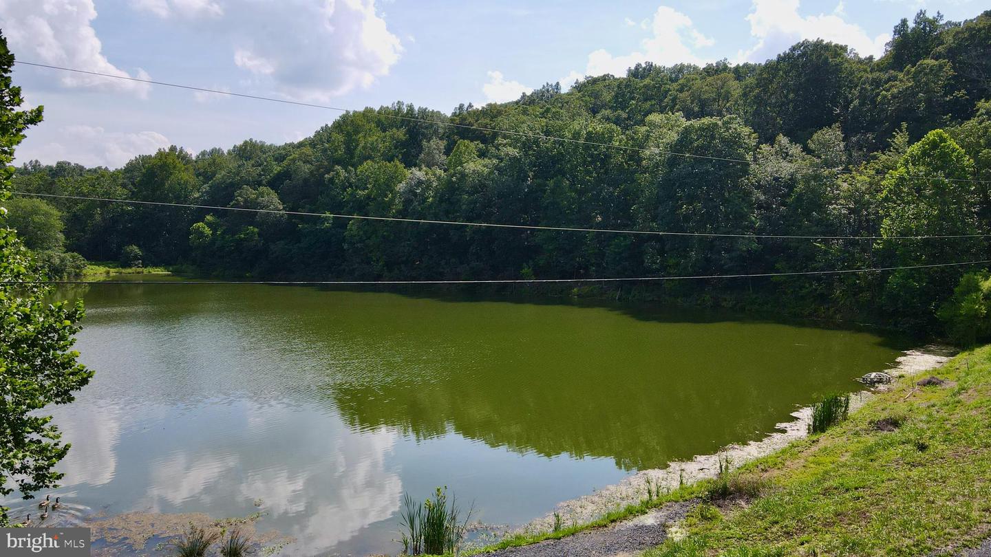 GUSSIN WAY, LINDEN, Virginia 22642, ,Land,For sale,GUSSIN WAY,VAWR2011836 MLS # VAWR2011836