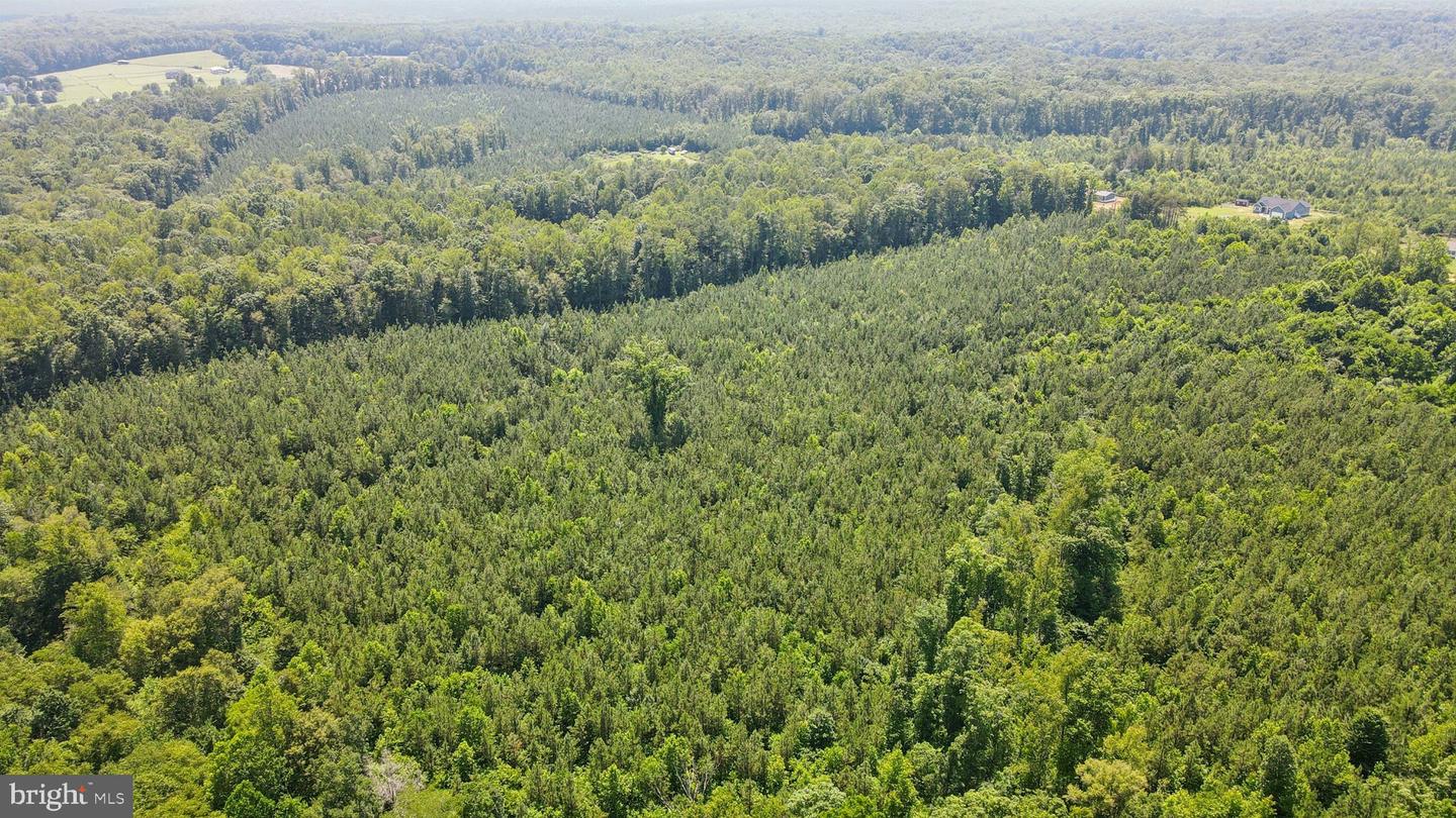 0 COUNTRY RD, BEAVERDAM, Virginia 23015, ,Land,For sale,0 COUNTRY RD,VACV2008594 MLS # VACV2008594