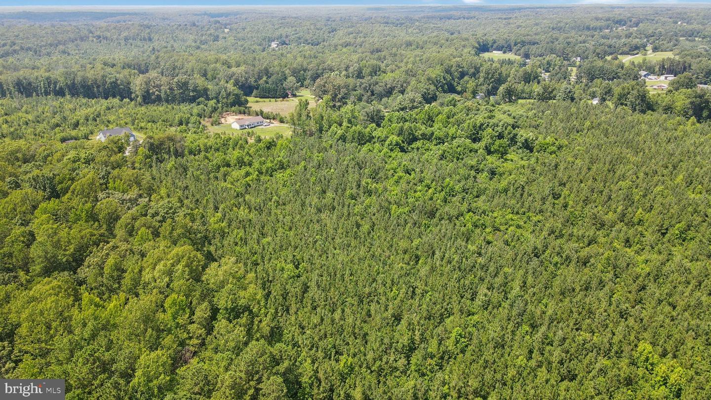 0 COUNTRY RD, BEAVERDAM, Virginia 23015, ,Land,For sale,0 COUNTRY RD,VACV2008594 MLS # VACV2008594