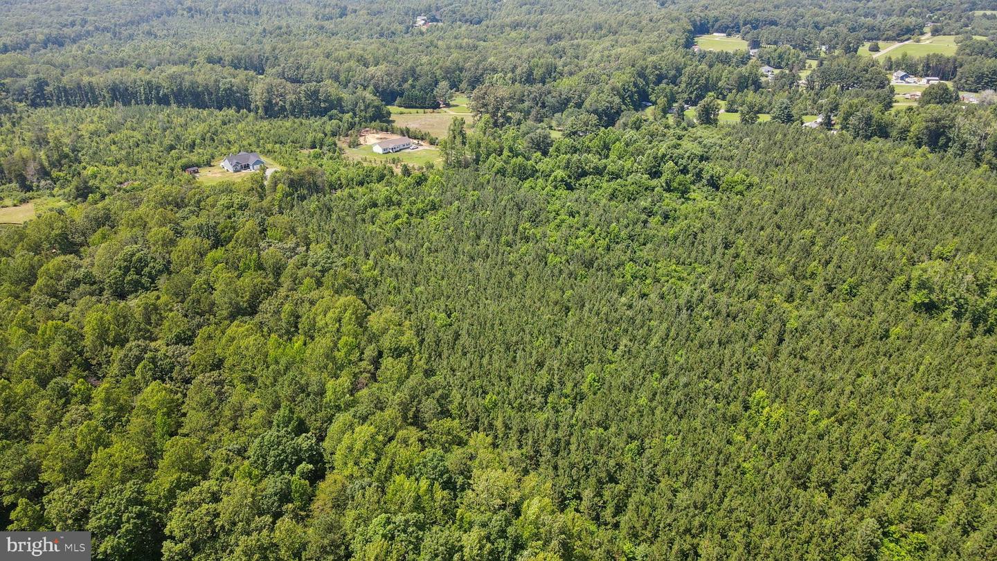 0 COUNTRY RD, BEAVERDAM, Virginia 23015, ,Land,For sale,0 COUNTRY RD,VACV2008594 MLS # VACV2008594