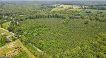 0 COUNTRY RD, BEAVERDAM, Virginia 23015, ,Land,For sale,0 COUNTRY RD,VACV2008594 MLS # VACV2008594