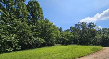 398 GULLY TAVERN LN, RICE, Virginia 23966, ,Land,For sale,398 GULLY TAVERN LN,VAPE2000102 MLS # VAPE2000102