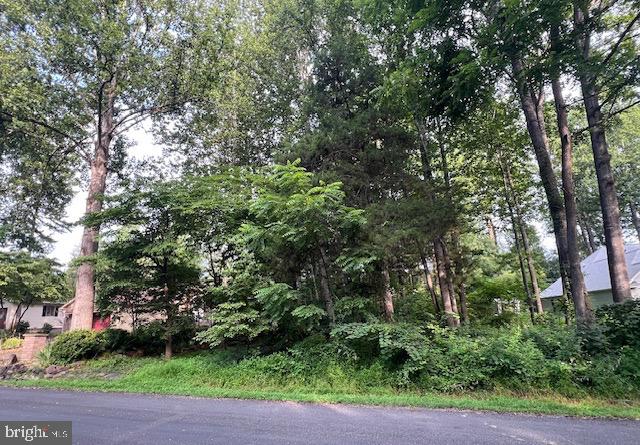 622 HARRISON CIR, LOCUST GROVE, Virginia 22508, ,Land,For sale,622 HARRISON CIR,VAOR2010380 MLS # VAOR2010380