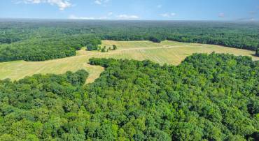 LOT 19 SALEM CHURCH RD, KING GEORGE, Virginia 22485, ,Land,For sale,LOT 19 SALEM CHURCH RD,VAKG2006820 MLS # VAKG2006820