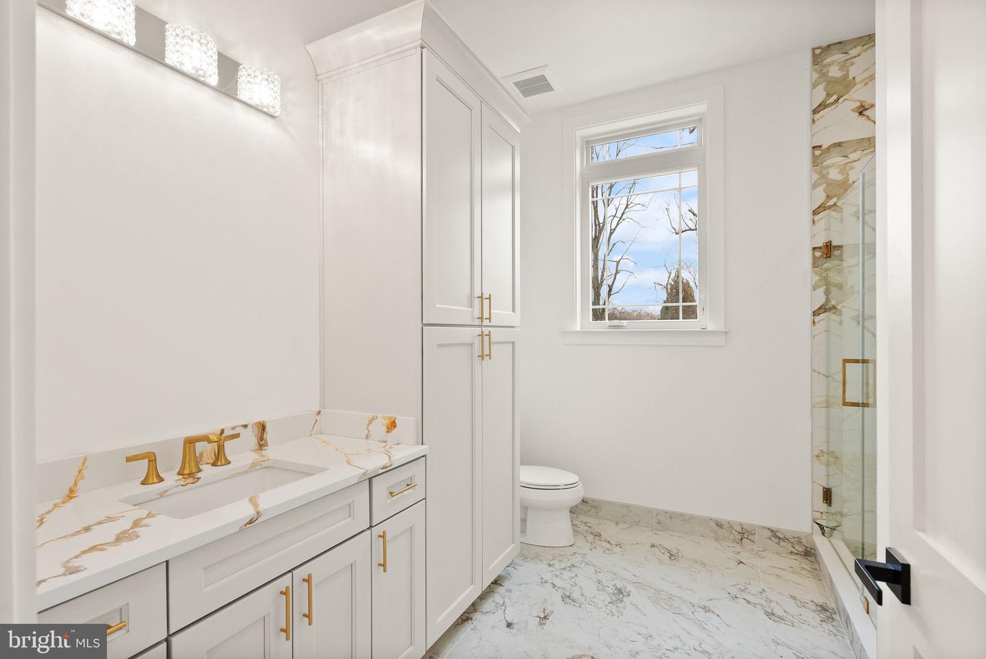 40925 ALYSHEBA DR, LEESBURG, Virginia 20176, 6 Bedrooms Bedrooms, ,8 BathroomsBathrooms,Residential,For sale,40925 ALYSHEBA DR,VALO2098364 MLS # VALO2098364