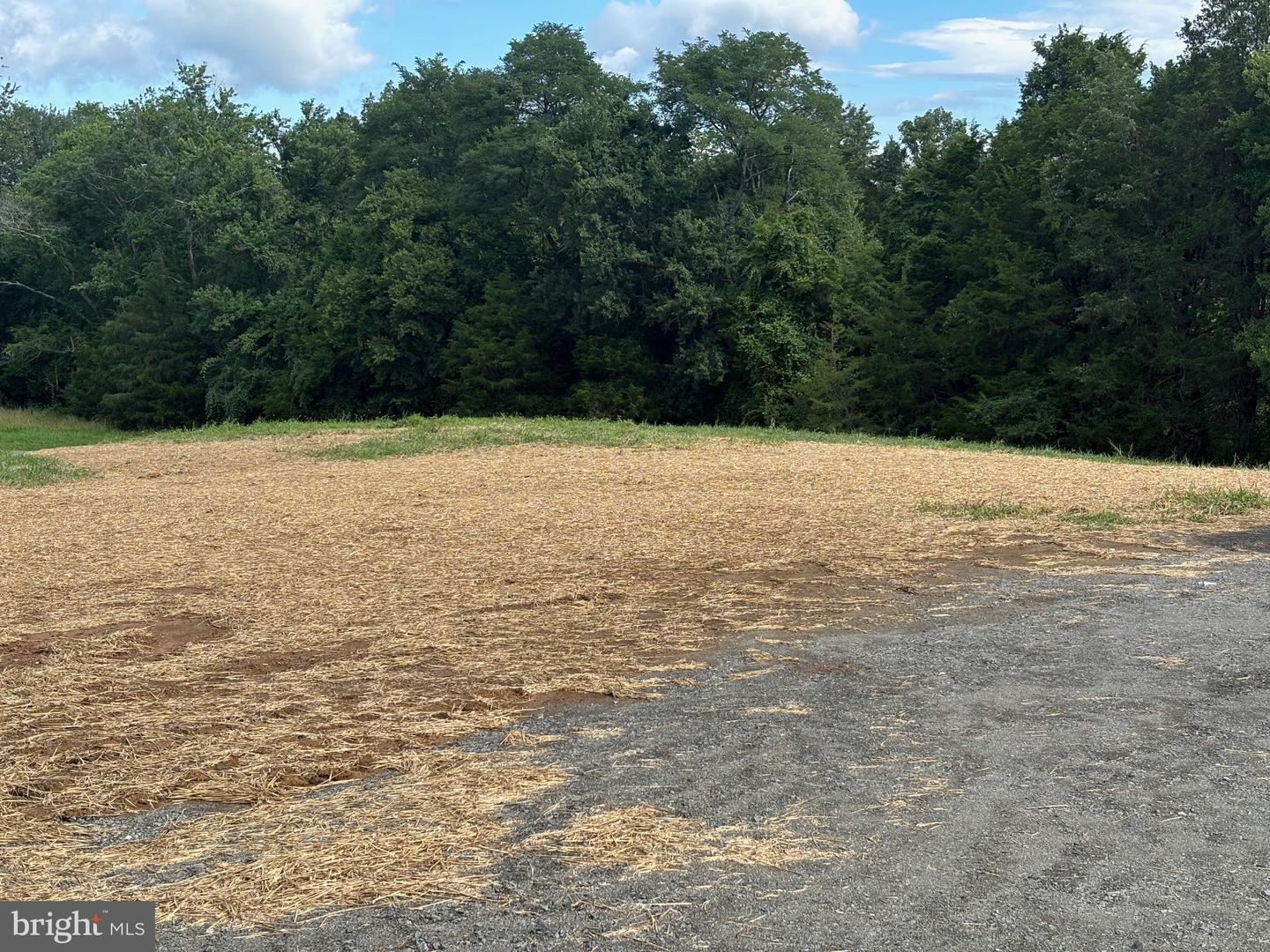 19265 NELDA LN, CULPEPER, Virginia 22701, 3 Bedrooms Bedrooms, 8 Rooms Rooms,2 BathroomsBathrooms,Residential,For sale,19265 NELDA LN,VACU2010940 MLS # VACU2010940