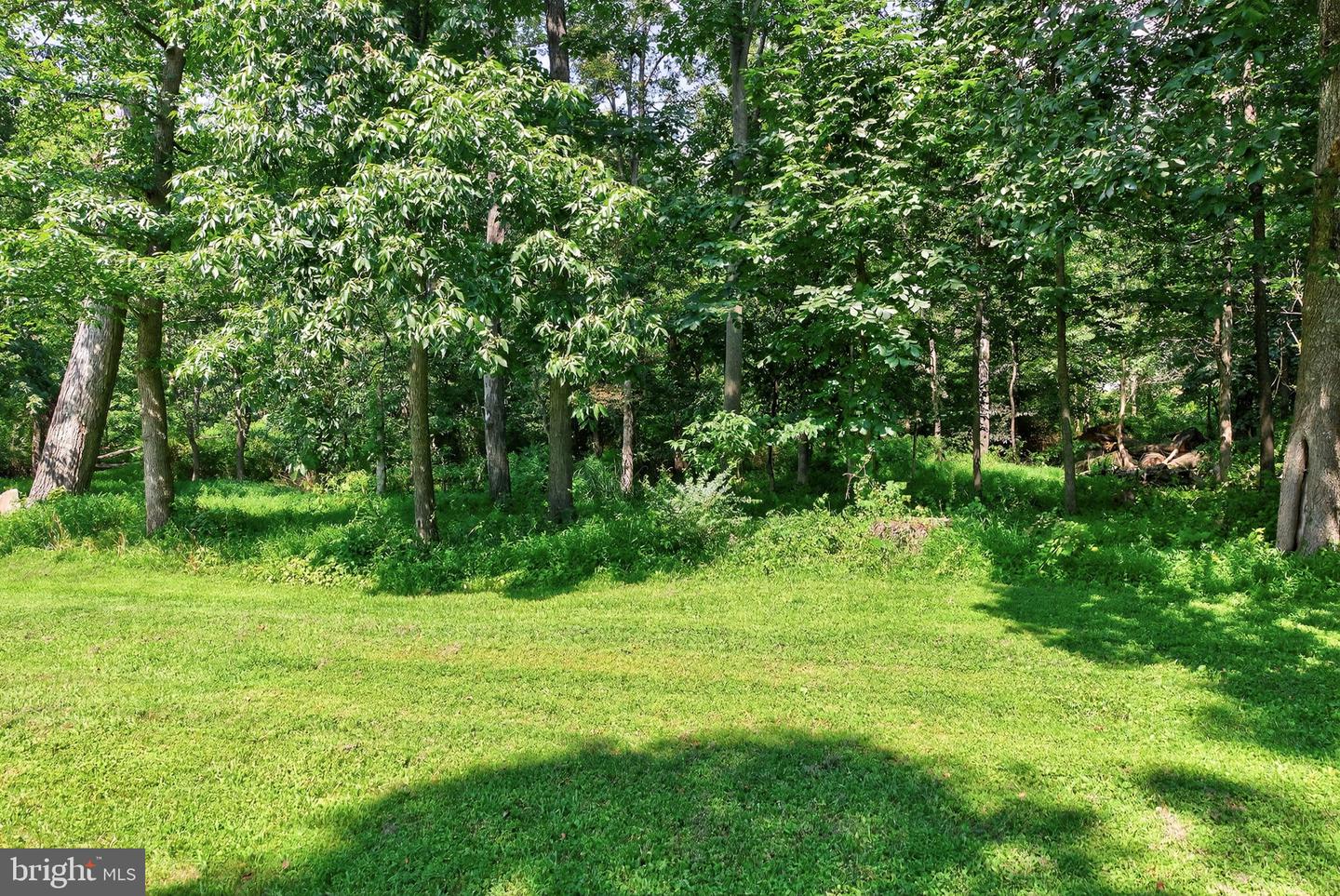 16904 GOLDEN LEAF CT, HAMILTON, Virginia 20158, 4 Bedrooms Bedrooms, ,5 BathroomsBathrooms,Residential,For sale,16904 GOLDEN LEAF CT,VALO2101162 MLS # VALO2101162
