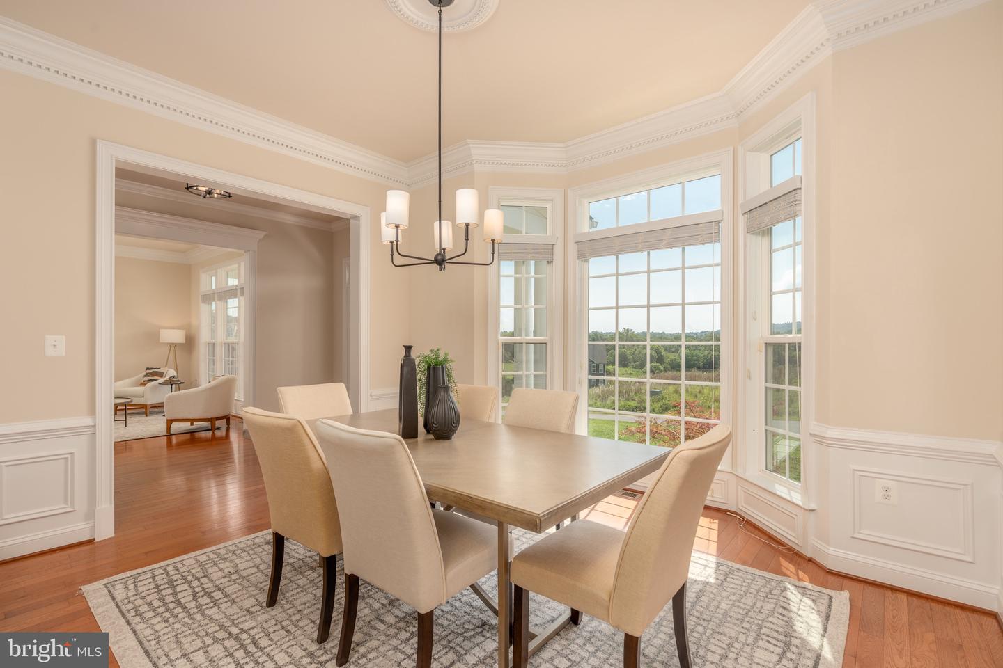 15731 ELSIE VIRGINIA PL, WATERFORD, Virginia 20197, 4 Bedrooms Bedrooms, ,4 BathroomsBathrooms,Residential,For sale,15731 ELSIE VIRGINIA PL,VALO2102428 MLS # VALO2102428