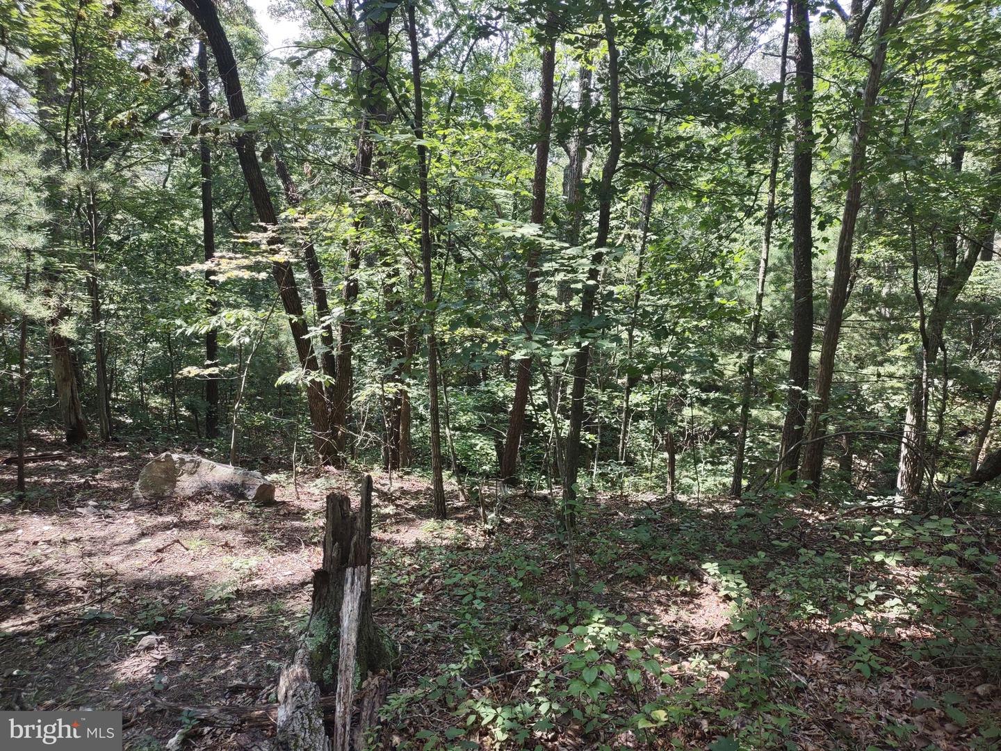 BLEVINS ROAD, LURAY, Virginia 22835, ,Land,For sale,BLEVINS ROAD,VAPA2005204 MLS # VAPA2005204